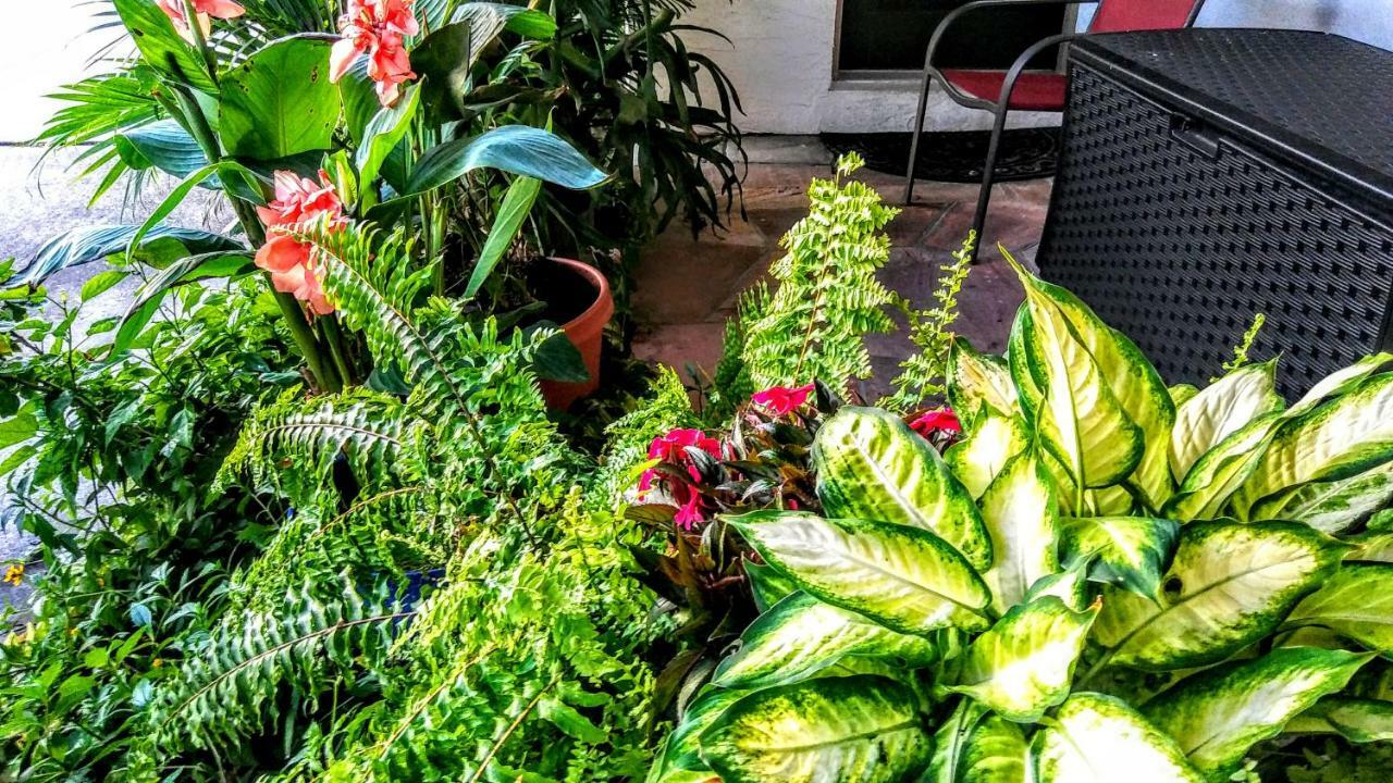Boca Ciega Bay Apartment セント・ピート・ビーチ エクステリア 写真