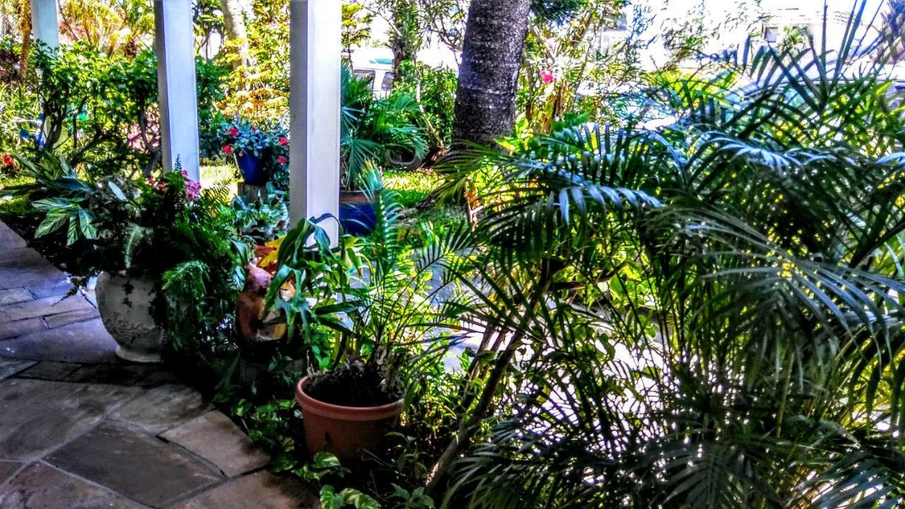 Boca Ciega Bay Apartment セント・ピート・ビーチ エクステリア 写真